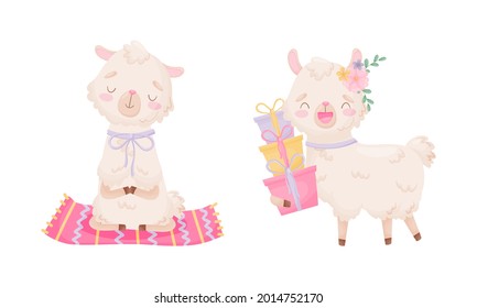 Cute Llama or Alpaca Sitting in Yoga Pose and Carrying Gift Boxes Vector Set