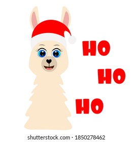 cute llama alpaca vector illustration