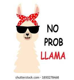 cute llama alpaca vector illustration
