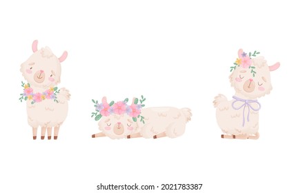 Cute Llama or Alpaca Wearing Floral Wreath Sleeping and Sitting Vector Set