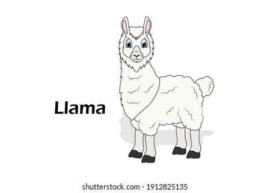 cute Llama animal cartoon, simple vector illustration