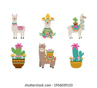 cute llama cactus hat flowers