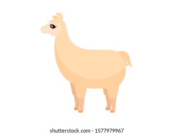 Cute Llama cartoon character. Adorable alpaca icon vector isolated on a white background