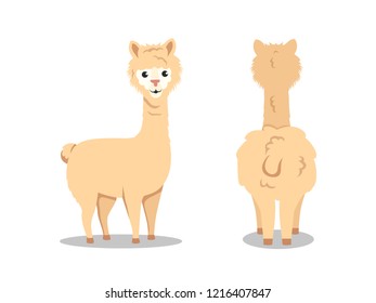 CUTE LLAMA CARTOON CHARACTER FLAT ILLUSTRATION SET