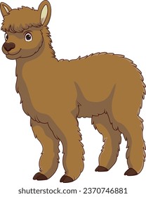 Cute Llama Cartoon On White Background