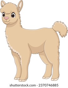 Cute Llama Cartoon On White Background