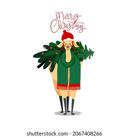 Cute llama, cute Christmas Character design, vector illustration