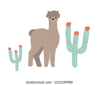 Cute llama or cria isolated on white background. Portrait of wild South American animal grazing among succulents. Andean domestic livestock. Colorful vector illustration in flat cartoon style.