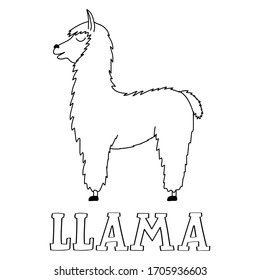 Cute Llama Drawn Doodle Style Lettering Stock Vector (Royalty Free ...