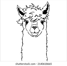 Cute llama face children's t-shirt print. Baby cute alpaca vector illustration.