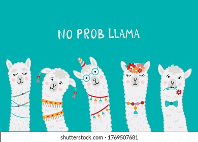 Cute llama faces with No PROB LLAMA motivational quote. Cartoon alpaca. Vector illustration with llama faces for posters, greeting cards, t-shirts, stickers etc.