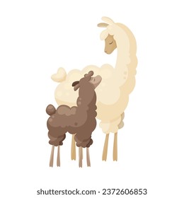 Cute llama family, curly llama mom with baby. Animal parent and its baby. Vector illustration, poster design, decorative illustration, baby and mother, mothers day, baby shower cards, happy alpacas