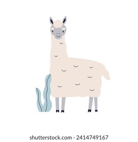 Cute llama. Happy kawaii animal in kids Scandinavian style. Exotic lama character, adorable funny fluffy mammal. Scandi nordic childish flat vector illustration isolated on white background