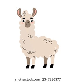 Cute Llama with Hoof and Wooly Coat as Farm Animal Vector Illustration