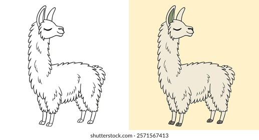 Cute Llama Illustration with Coloring and Finished Versions on White and Beige.