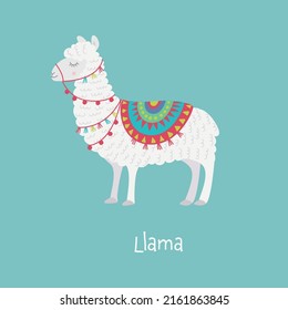 Cute llama isolated on turquoise background. Vector illustration