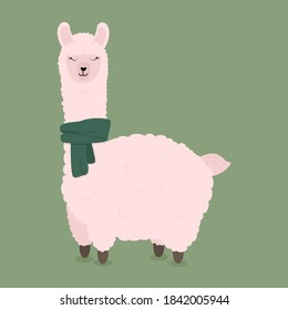 Cute llama on green background wearing a winter scarf.