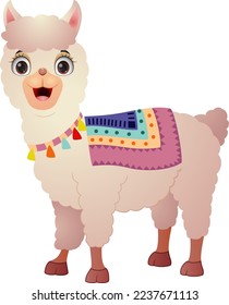 Cute llama on white background