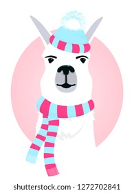 Cute llama in a scarf and hat with a fluffy pompon. Portrait of guanaco in winter clothes.
