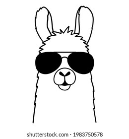 Cute llama with sunglasses.  Vector illustration isolated on white background. 