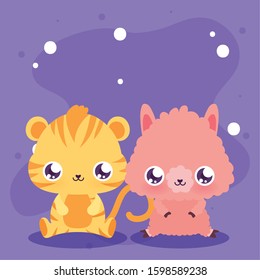 Cute llama and tiger cartoon design, Animal zoo life nature character childhood and adorable theme Vector illustration