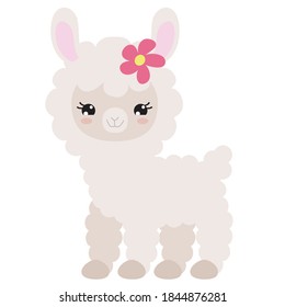 Cute llama vector cartoon illustration