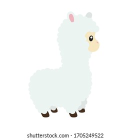 Cute Llama Vector Illustration on White