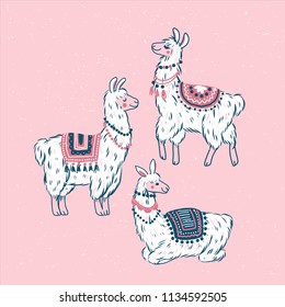 Cute llamas. Alpaca kid illustration. Summer style graphic. Vector illustration