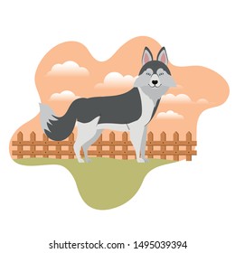 cute lobo siberiano dog with background landscape