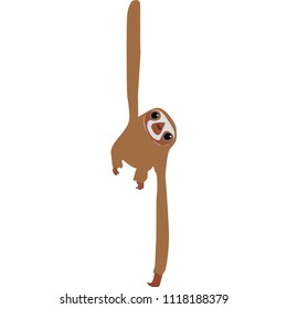 Cute long sloth 