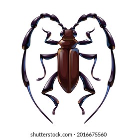 Cute longhorn beetle, vector illustration in cartoon style, flat art.