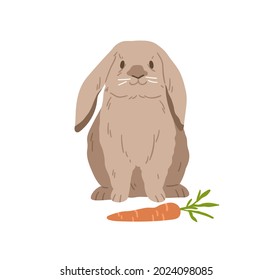 Cute lop rabbit. Happy bunny sitting near carrot. Domestic animal with fluffy fur. Adorable fuzzy coney pet. Flap-eared breed of rodent. Realistic flat vector illustration isolated on white background