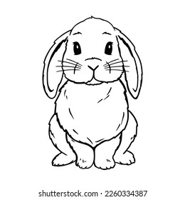 Cute Lop Rabbit Line Art. Bunny sketch vector illustration. Coloring pages for children. Good for posters, t shirts, postcards. Coloring pages for children.