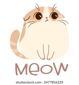 Cute lop-eared kitten of Scottish breed and the inscription Meow, flat vector illustration on white background in child style 