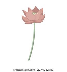 Piso de garrapata de flores de loto
