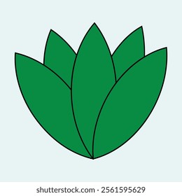 cute lotus flower is like