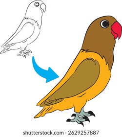 Cute Lovebird Cartoon Outline and Coloring Illustration Isolated on White Background
