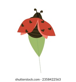 cute lovebug or ledybug in leaf sitting