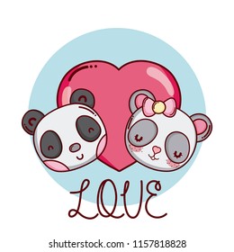 Cute and lovely animals