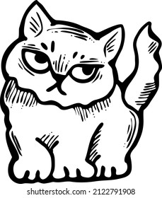 Cute lovely cat with funny face. Fluffy kitten best friend with big eyes. Home pet for baby, kids, boy, girl and family. Hand drown character. Retro vintage cartoon vector illustration drawn by hand.
