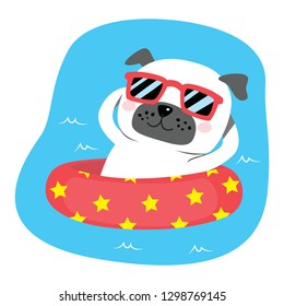 Cute lovely dog on inflatable enjoying summer pool