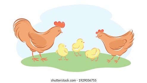  Cute lovely family of domestic bird. Rooster, hen and brood of chicks  Childish flat cartoon vector illustration.