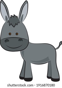 Cute Lovely Gray Baby Donkey