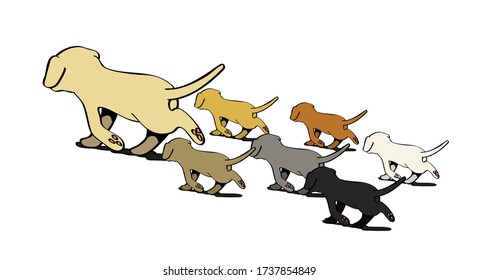 Cute and lovely mother dog being followed by her different colours puppies. Isolated vector illustration on white background. Cartoon style vector illustration.