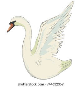 cute lovely princess swan, vector,  illustration