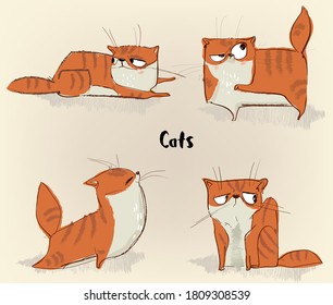 cute lovely red cat with strips collection