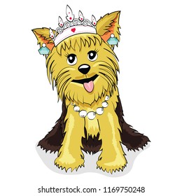 cute lovely Yorkshire Terrier Puppy wearing reckless earring tiara