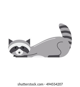 cute lying cartoon raccoon vector illustration. grey raccoon in flat style