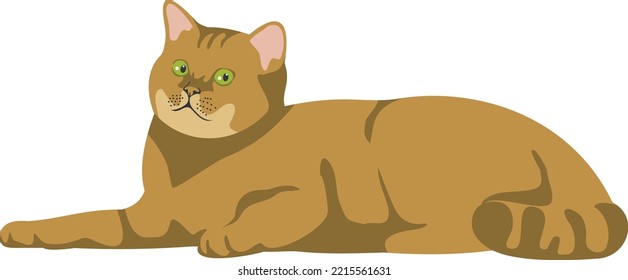 Cute lying cat. Funny pet. Cartoon kitten