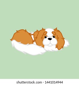 Cute Lying Down Cute Blenheim Cavalier King Charles Spaniel Dog Cartoon Vector Illustration for Print, Website and Kids Shirt Design